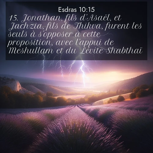 Segond21 Esdras  ; image nature: image avec le verset biblique :Jonathan, fils d&#039;Asaël, et Jachzia, fils de Thikva, furent les seuls à s&#039;opposer à cette proposition, avec l&#039;appui de Meshullam et du Lévite Shabthaï. ;  ; 10:15