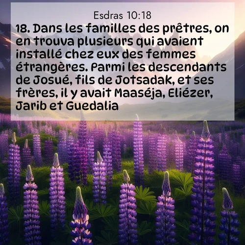 Segond21 Esdras  ; image nature: image avec le verset biblique :Dans les familles des prêtres, on en trouva plusieurs qui avaient installé chez eux des femmes étrangères. Parmi les descendants de Josué, fils de Jotsadak, et ses frères, il y avait Maaséja, Eliézer, Jarib et Guedalia. ;  ; 10:18