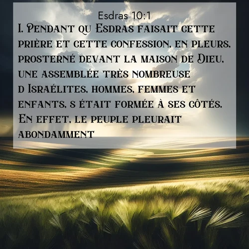 Segond21 Esdras  ; image nature: image avec le verset biblique :Pendant qu&#039;Esdras faisait cette prière et cette confession, en pleurs, prosterné devant la maison de Dieu, une assemblée très nombreuse d&#039;Israélites, hommes, femmes et enfants, s&#039;était formée à ses côtés. En effet, le peuple pleurait abondamment. ;  ; 10:1
