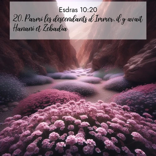 Segond21 Esdras  ; image nature: image avec le verset biblique :Parmi les descendants d&#039;Immer, il y avait Hanani et Zebadia; ;  ; 10:20