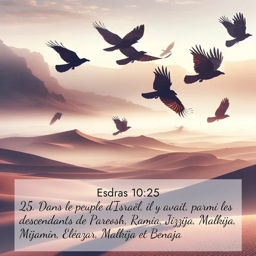 Segond21 Esdras  ; image nature: image avec le verset biblique :Dans le peuple d&#039;Israël, il y avait, parmi les descendants de Pareosh, Ramia, Jizzija, Malkija, Mijamin, Eléazar, Malkija et Benaja; ;  ; 10:25