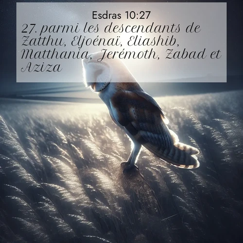 Segond21 Esdras  ; image nature: image avec le verset biblique :parmi les descendants de Zatthu, Eljoénaï, Eliashib, Matthania, Jerémoth, Zabad et Aziza; ;  ; 10:27