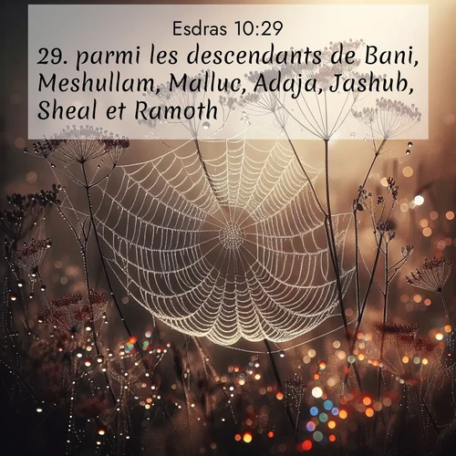 Segond21 Esdras  ; image nature: image avec le verset biblique :parmi les descendants de Bani, Meshullam, Malluc, Adaja, Jashub, Sheal et Ramoth; ;  ; 10:29