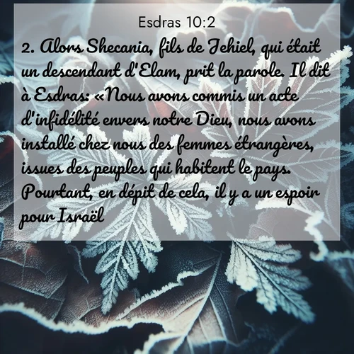 Segond21 Esdras  ; image nature: image avec le verset biblique :Alors Shecania, fils de Jehiel, qui était un descendant d&#039;Elam, prit la parole. Il dit à Esdras: «Nous avons commis un acte d&#039;infidélité envers notre Dieu, nous avons installé chez nous des femmes étrangères, issues des peuples qui habitent le pays. Pourtant, en dépit de cela, il y a un espoir pour Israël. ;  ; 10:2