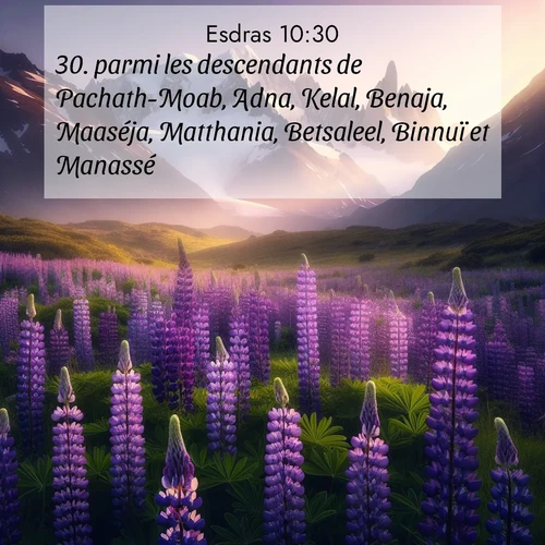 Segond21 Esdras  ; image nature: image avec le verset biblique :parmi les descendants de Pachath-Moab, Adna, Kelal, Benaja, Maaséja, Matthania, Betsaleel, Binnuï et Manassé; ;  ; 10:30