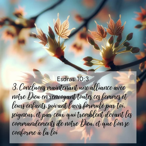 Segond21 Esdras  ; image nature: image avec le verset biblique :Concluons maintenant une alliance avec notre Dieu en renvoyant toutes ces femmes et leurs enfants, suivant l&#039;avis formulé par toi, seigneur, et par ceux qui tremblent devant les commandements de notre Dieu, et que l&#039;on se conforme à la loi! ;  ; 10:3