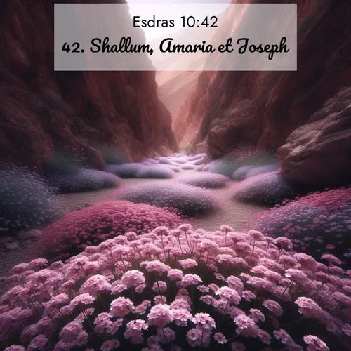 Segond21 Esdras  ; image nature: image avec le verset biblique :Shallum, Amaria et Joseph; ;  ; 10:42
