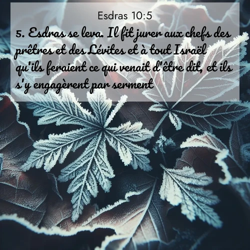 Segond21 Esdras  ; image nature: image avec le verset biblique :Esdras se leva. Il fit jurer aux chefs des prêtres et des Lévites et à tout Israël qu&#039;ils feraient ce qui venait d&#039;être dit, et ils s&#039;y engagèrent par serment. ;  ; 10:5