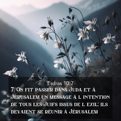 Segond21 Esdras  ; image nature: image avec le verset biblique :On fit passer dans Juda et à Jérusalem un message à l&#039;intention de tous les Juifs issus de l&#039;exil: ils devaient se réunir à Jérusalem; ;  ; 10:7