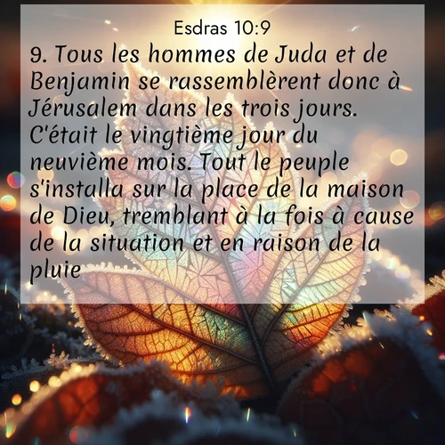 Segond21 Esdras  ; image nature: image avec le verset biblique :Tous les hommes de Juda et de Benjamin se rassemblèrent donc à Jérusalem dans les trois jours. C&#039;était le vingtième jour du neuvième mois. Tout le peuple s&#039;installa sur la place de la maison de Dieu, tremblant à la fois à cause de la situation et en raison de la pluie. ;  ; 10:9