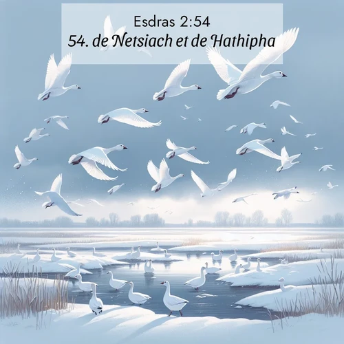Segond21 Esdras  ; image nature: image avec le verset biblique :de Netsiach et de Hathipha. ;  ; 2:54