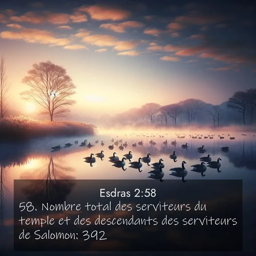 Segond21 Esdras  ; image nature: image avec le verset biblique :Nombre total des serviteurs du temple et des descendants des serviteurs de Salomon: 392. ;  ; 2:58