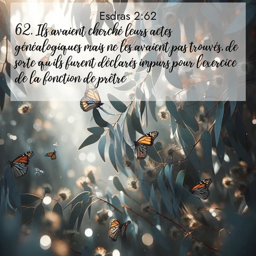 Segond21 Esdras  ; image nature: image avec le verset biblique :Ils avaient cherché leurs actes généalogiques mais ne les avaient pas trouvés, de sorte qu&#039;ils furent déclarés impurs pour l&#039;exercice de la fonction de prêtre. ;  ; 2:62
