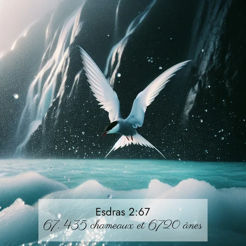 Segond21 Esdras  ; image nature: image avec le verset biblique :435 chameaux et 6720 ânes. ;  ; 2:67