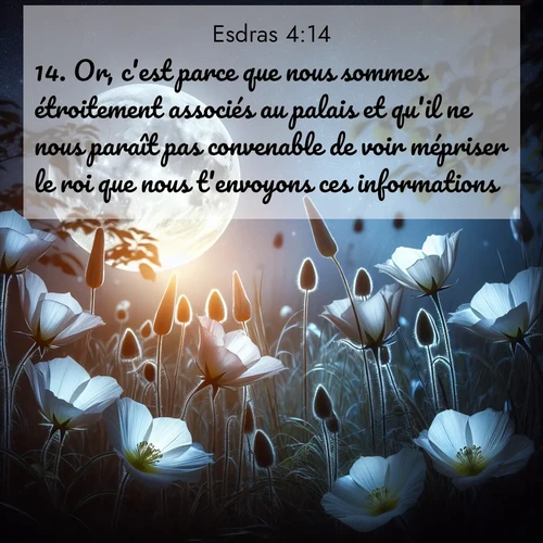image nature avec verset biblique de la Bible
