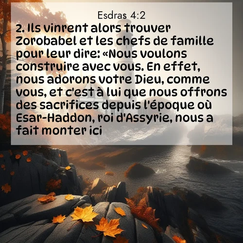 Segond21 15 4:2