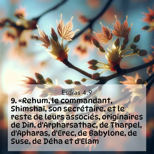 image nature avec verset biblique de la Bible