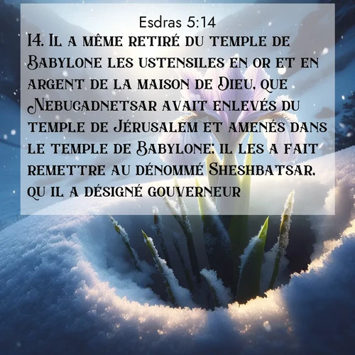 image nature avec verset biblique de la Bible