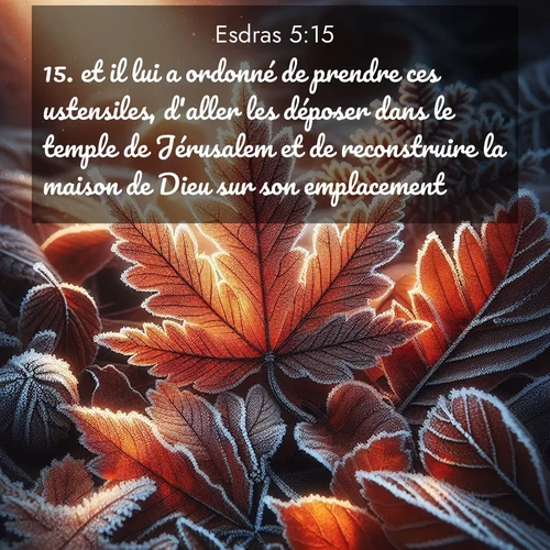 image nature avec verset biblique de la Bible