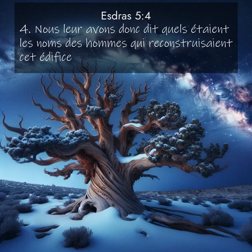 image nature avec verset biblique de la Bible