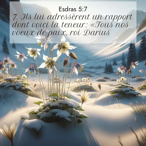 image nature avec verset biblique de la Bible