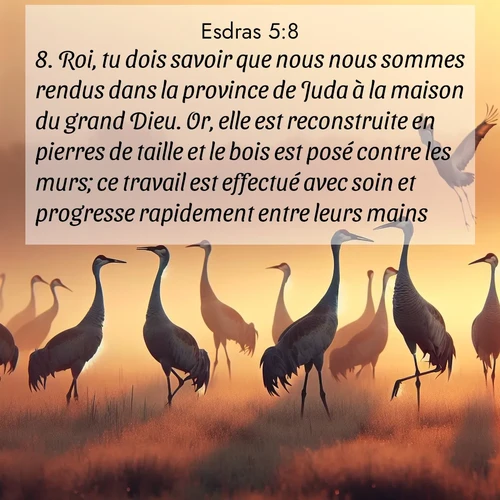 Segond21 Esdras  ; image nature: image avec le verset biblique :Roi, tu dois savoir que nous nous sommes rendus dans la province de Juda à la maison du grand Dieu. Or, elle est reconstruite en pierres de taille et le bois est posé contre les murs; ce travail est effectué avec soin et progresse rapidement entre leurs mains. ;  ; 5:8