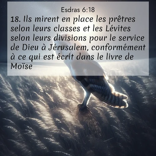 image nature avec verset biblique de la Bible