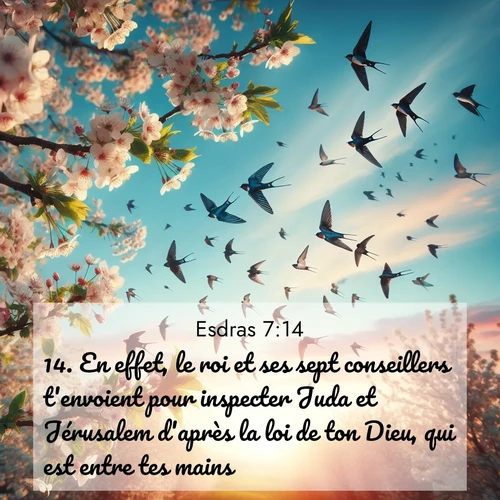 Segond21 Esdras  ; image nature: image avec le verset biblique :En effet, le roi et ses sept conseillers t&#039;envoient pour inspecter Juda et Jérusalem d&#039;après la loi de ton Dieu, qui est entre tes mains, ;  ; 7:14