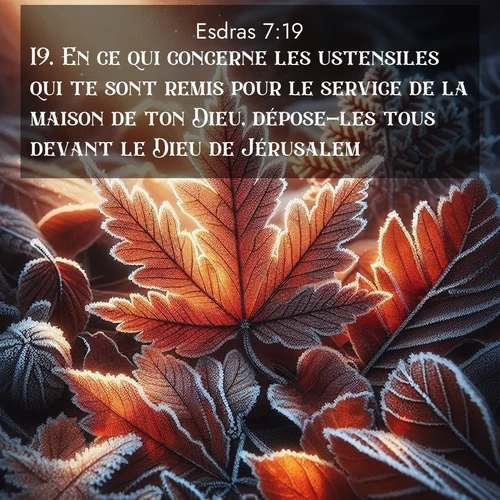 Segond21 Esdras  ; image nature: image avec le verset biblique :En ce qui concerne les ustensiles qui te sont remis pour le service de la maison de ton Dieu, dépose-les tous devant le Dieu de Jérusalem. ;  ; 7:19