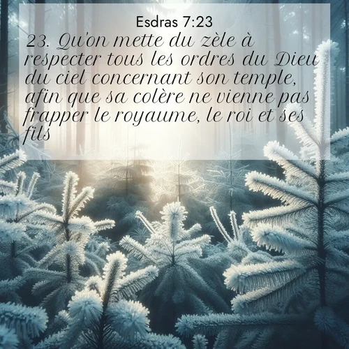Segond21 Esdras  ; image nature: image avec le verset biblique :Qu&#039;on mette du zèle à respecter tous les ordres du Dieu du ciel concernant son temple, afin que sa colère ne vienne pas frapper le royaume, le roi et ses fils. ;  ; 7:23