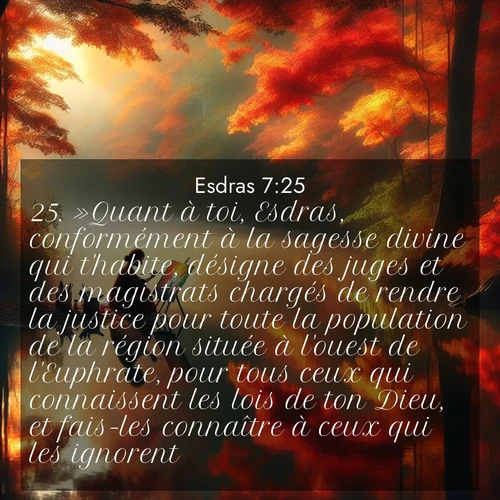 Segond21 Esdras  ; image nature: image avec le verset biblique :»Quant à toi, Esdras, conformément à la sagesse divine qui t&#039;habite, désigne des juges et des magistrats chargés de rendre la justice pour toute la population de la région située à l&#039;ouest de l&#039;Euphrate, pour tous ceux qui connaissent les lois de ton Dieu, et fais-les connaître à ceux qui les ignorent! ;  ; 7:25