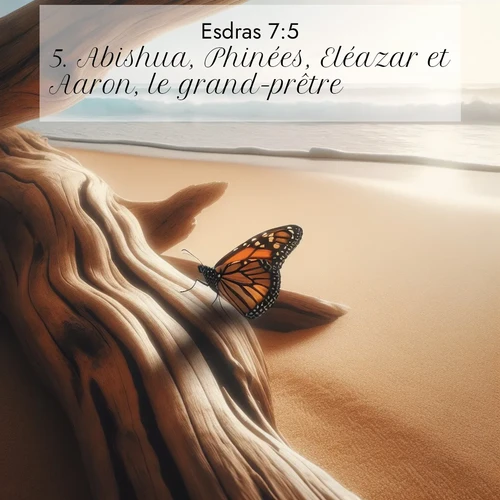 Segond21 Esdras  ; image nature: image avec le verset biblique :Abishua, Phinées, Eléazar et Aaron, le grand-prêtre. ;  ; 7:5
