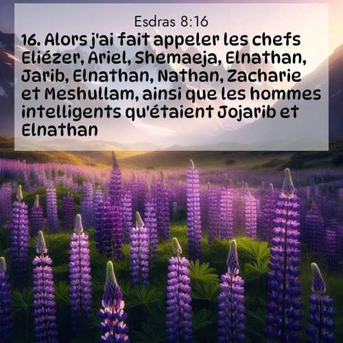 Segond21 Esdras  ; image nature: image avec le verset biblique :Alors j&#039;ai fait appeler les chefs Eliézer, Ariel, Shemaeja, Elnathan, Jarib, Elnathan, Nathan, Zacharie et Meshullam, ainsi que les hommes intelligents qu&#039;étaient Jojarib et Elnathan. ;  ; 8:16