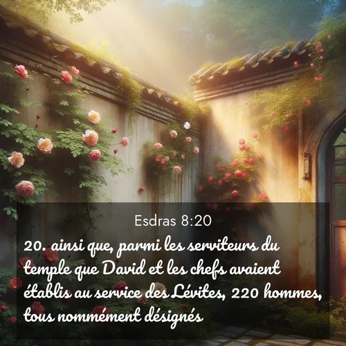 Segond21 Esdras  ; image nature: image avec le verset biblique :ainsi que, parmi les serviteurs du temple que David et les chefs avaient établis au service des Lévites, 220 hommes, tous nommément désignés. ;  ; 8:20