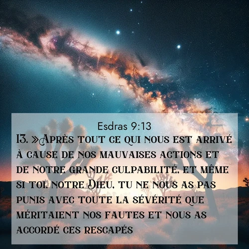 Segond21 Esdras  ; image nature: image avec le verset biblique :»Après tout ce qui nous est arrivé à cause de nos mauvaises actions et de notre grande culpabilité, et même si toi, notre Dieu, tu ne nous as pas punis avec toute la sévérité que méritaient nos fautes et nous as accordé ces rescapés, ;  ; 9:13