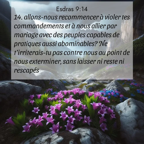 Segond21 Esdras  ; image nature: image avec le verset biblique :allons-nous recommencer à violer tes commandements et à nous allier par mariage avec des peuples capables de pratiques aussi abominables? Ne t&#039;irriterais-tu pas contre nous au point de nous exterminer, sans laisser ni reste ni rescapés? ;  ; 9:14