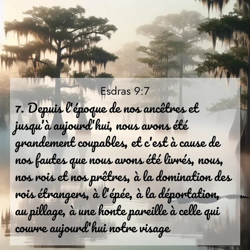 Segond21 Esdras  ; image nature: image avec le verset biblique :Depuis l&#039;époque de nos ancêtres et jusqu&#039;à aujourd&#039;hui, nous avons été grandement coupables, et c&#039;est à cause de nos fautes que nous avons été livrés, nous, nos rois et nos prêtres, à la domination des rois étrangers, à l&#039;épée, à la déportation, au pillage, à une honte pareille à celle qui couvre aujourd&#039;hui notre visage. ;  ; 9:7