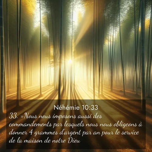 Segond21 Néhémie  ; image nature: image avec le verset biblique :»Nous nous imposons aussi des commandements par lesquels nous nous obligeons à donner 4 grammes d&#039;argent par an pour le service de la maison de notre Dieu, ;  ; 10:33
