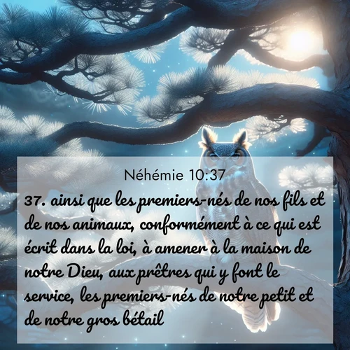 image nature avec verset biblique de la Bible