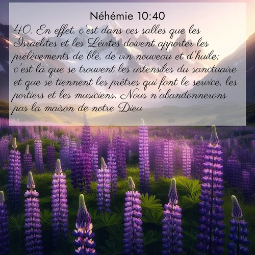 Segond21 Néhémie  ; image nature: image avec le verset biblique :En effet, c&#039;est dans ces salles que les Israélites et les Lévites doivent apporter les prélèvements de blé, de vin nouveau et d&#039;huile; c&#039;est là que se trouvent les ustensiles du sanctuaire et que se tiennent les prêtres qui font le service, les portiers et les musiciens. Nous n&#039;abandonnerons pas la maison de notre Dieu.» ;  ; 10:40