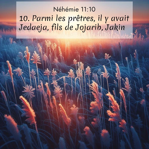 image nature avec verset biblique de la Bible