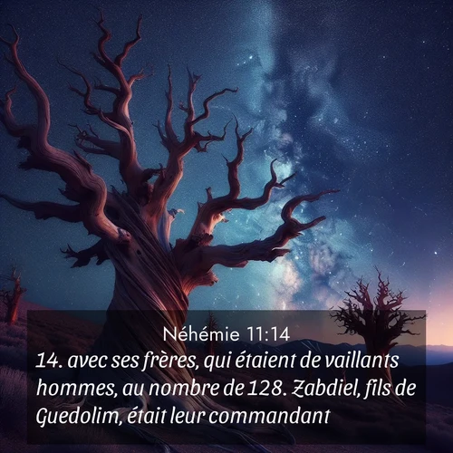 Segond21 Néhémie  ; image nature: image avec le verset biblique :avec ses frères, qui étaient de vaillants hommes, au nombre de 128. Zabdiel, fils de Guedolim, était leur commandant. ;  ; 11:14