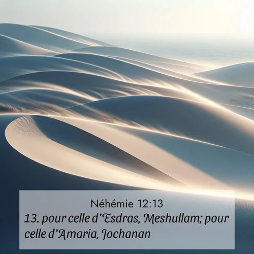Segond21 Néhémie  ; image nature: image avec le verset biblique :pour celle d&#039;Esdras, Meshullam; pour celle d&#039;Amaria, Jochanan; ;  ; 12:13