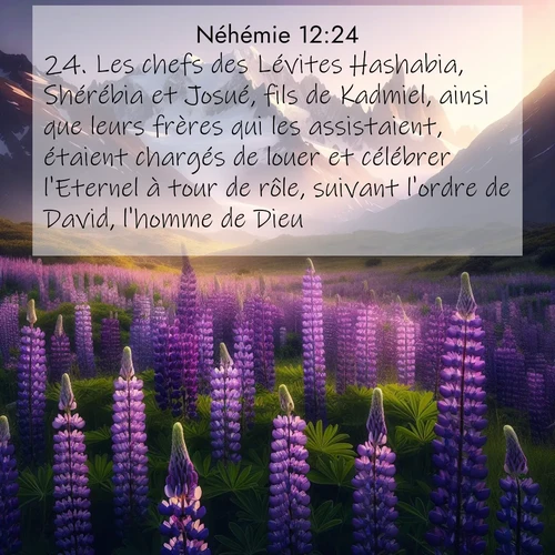 Segond21 Néhémie  ; image nature: image avec le verset biblique :Les chefs des Lévites Hashabia, Shérébia et Josué, fils de Kadmiel, ainsi que leurs frères qui les assistaient, étaient chargés de louer et célébrer l&#039;Eternel à tour de rôle, suivant l&#039;ordre de David, l&#039;homme de Dieu. ;  ; 12:24