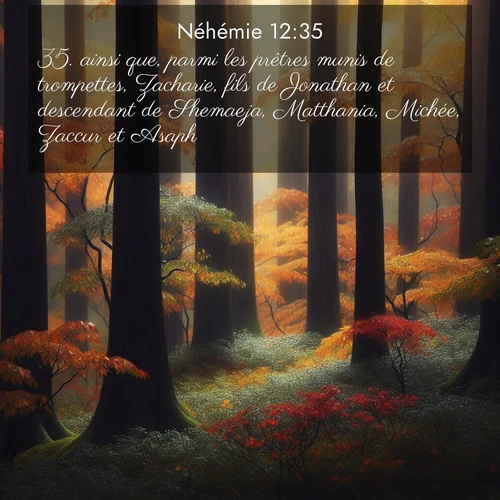 Segond21 Néhémie  ; image nature: image avec le verset biblique :ainsi que, parmi les prêtres munis de trompettes, Zacharie, fils de Jonathan et descendant de Shemaeja, Matthania, Michée, Zaccur et Asaph, ;  ; 12:35