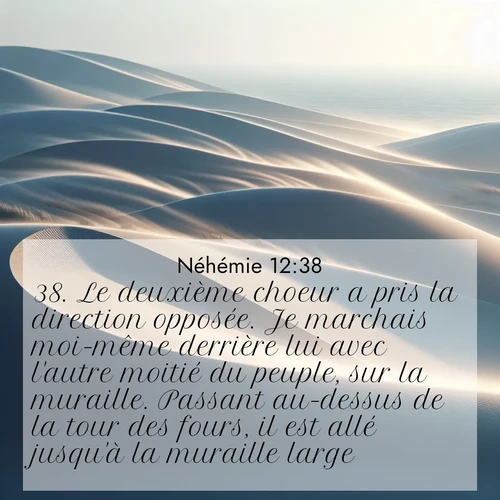 Segond21 Néhémie  ; image nature: image avec le verset biblique :Le deuxième choeur a pris la direction opposée. Je marchais moi-même derrière lui avec l&#039;autre moitié du peuple, sur la muraille. Passant au-dessus de la tour des fours, il est allé jusqu&#039;à la muraille large ;  ; 12:38