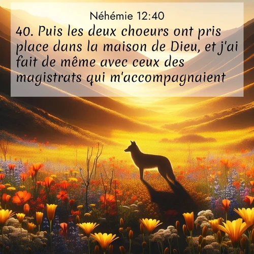 Segond21 Néhémie  ; image nature: image avec le verset biblique :Puis les deux choeurs ont pris place dans la maison de Dieu, et j&#039;ai fait de même avec ceux des magistrats qui m&#039;accompagnaient ;  ; 12:40