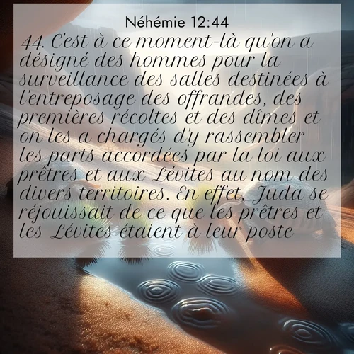 Segond21 Néhémie  ; image nature: image avec le verset biblique :C&#039;est à ce moment-là qu&#039;on a désigné des hommes pour la surveillance des salles destinées à l&#039;entreposage des offrandes, des premières récoltes et des dîmes et on les a chargés d&#039;y rassembler les parts accordées par la loi aux prêtres et aux Lévites au nom des divers territoires. En effet, Juda se réjouissait de ce que les prêtres et les Lévites étaient à leur poste, ;  ; 12:44