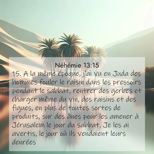 Segond21 Néhémie  ; image nature: image avec le verset biblique :A la même époque, j&#039;ai vu en Juda des hommes fouler le raisin dans les pressoirs pendant le sabbat, rentrer des gerbes et charger même du vin, des raisins et des figues, en plus de toutes sortes de produits, sur des ânes pour les amener à Jérusalem le jour du sabbat. Je les ai avertis, le jour où ils vendaient leurs denrées. ;  ; 13:15