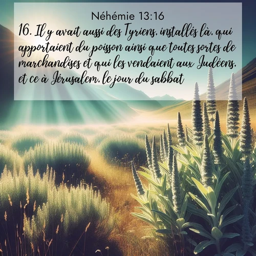 Segond21 Néhémie  ; image nature: image avec le verset biblique :Il y avait aussi des Tyriens, installés là, qui apportaient du poisson ainsi que toutes sortes de marchandises et qui les vendaient aux Judéens, et ce à Jérusalem, le jour du sabbat. ;  ; 13:16